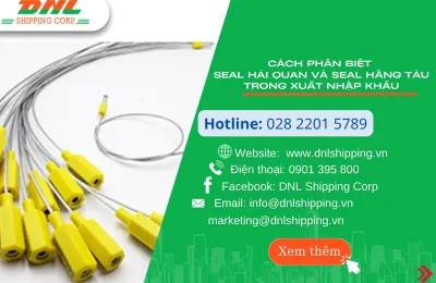 Sản phẩm website tuan 3 thang 3 12 8618 — Công Ty TNHH DNL Shipping Corporation — MST 0316933852
