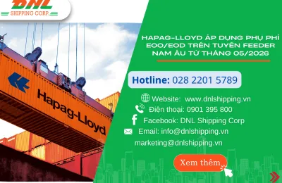 Sản phẩm website tuan 3 thang 3 13 3823 — Công Ty TNHH DNL Shipping Corporation — MST 0316933852