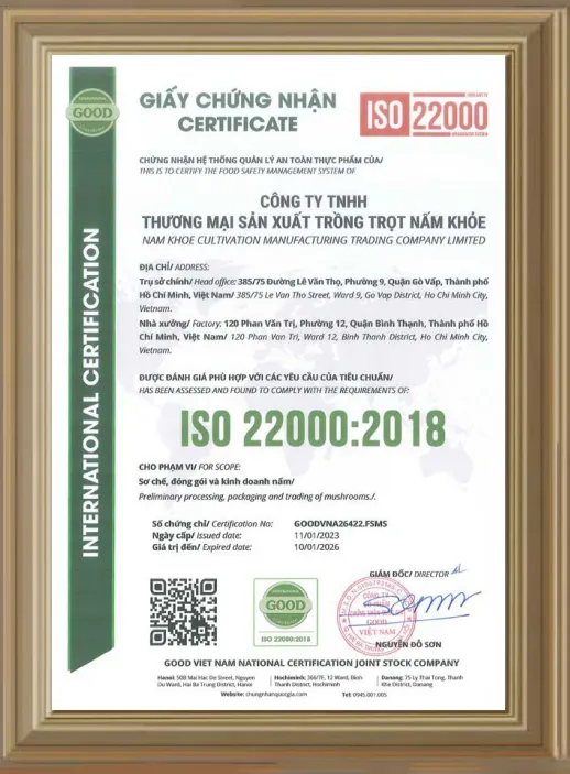 Sản phẩm CN1 — Nhà Cung Cấp Nấm Việt - Công Ty TNHH Thương Mại Sản Xuất Trồng Trọt Nấm Khỏe — MST 0316951033