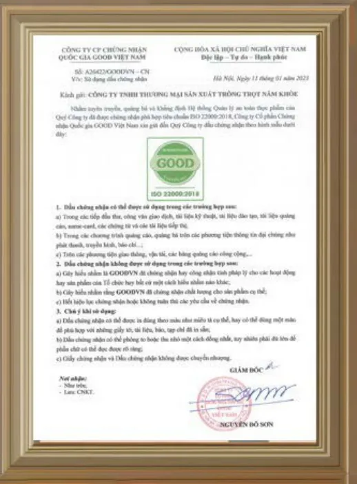 Sản phẩm CN2 — Nhà Cung Cấp Nấm Việt - Công Ty TNHH Thương Mại Sản Xuất Trồng Trọt Nấm Khỏe — MST 0316951033