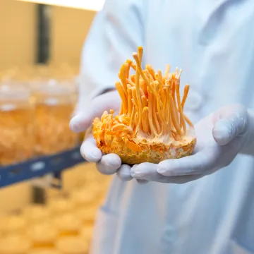 Sản phẩm Cac san pham khac — Nhà Cung Cấp Nấm Việt - Công Ty TNHH Thương Mại Sản Xuất Trồng Trọt Nấm Khỏe — MST 0316951033