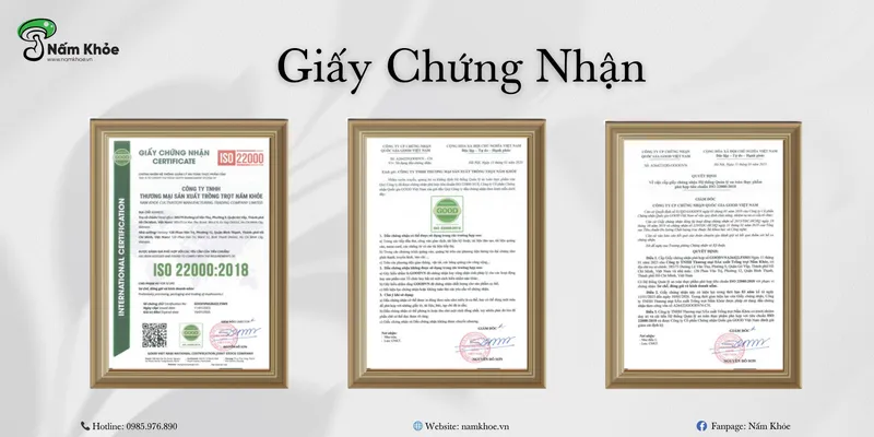 Sản phẩm 2 — Nhà Cung Cấp Nấm Việt - Công Ty TNHH Thương Mại Sản Xuất Trồng Trọt Nấm Khỏe — MST 0316951033