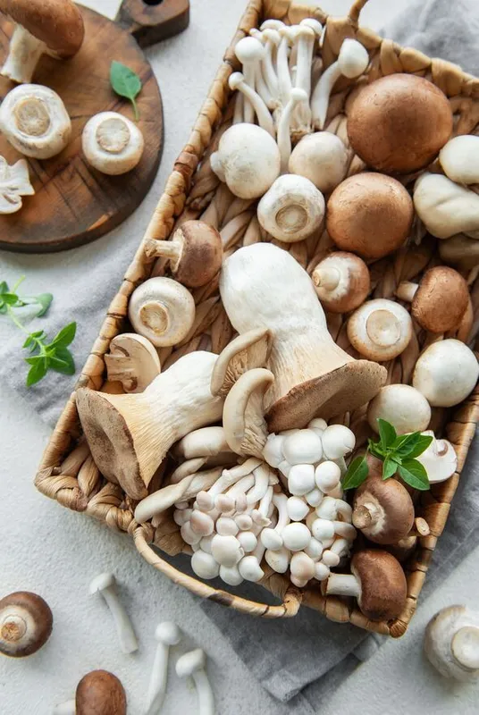 Sản phẩm 3df65a133143888f5e8e8d1147fe6b8b — Nhà Cung Cấp Nấm Việt - Công Ty TNHH Thương Mại Sản Xuất Trồng Trọt Nấm Khỏe — MST 0316951033