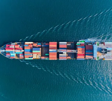Sản phẩm Services_Sea Freight Solutions — Công Ty TNHH FM-TCI Global Logistics — MST 0316956641
