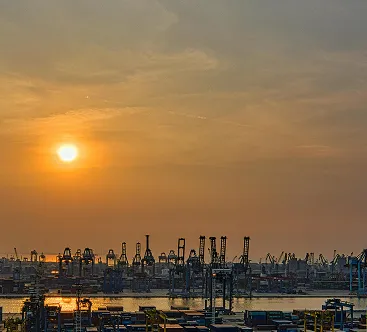 Sản phẩm Services_customs brokerage — Công Ty TNHH FM-TCI Global Logistics — MST 0316956641
