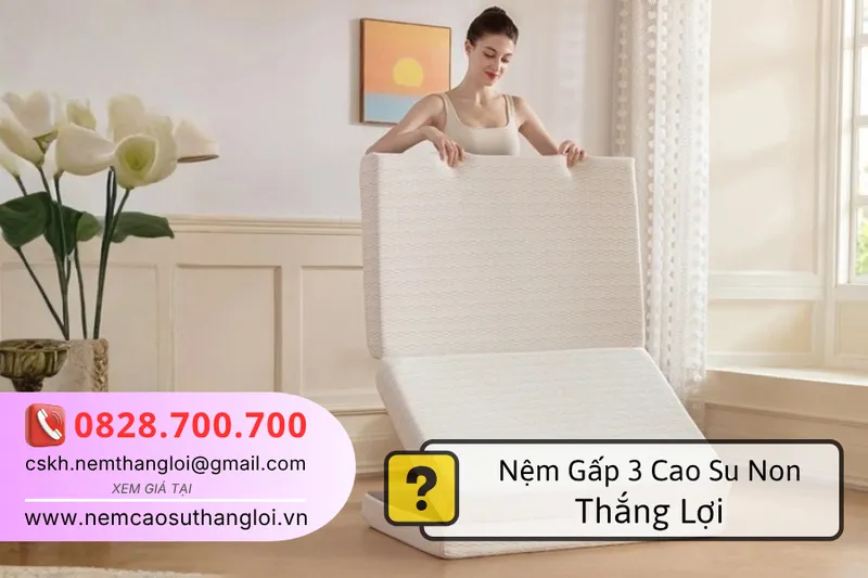Sản phẩm nem_gap_3_cao_su_non_thang_loi_phong_khach_phong_ngu — Nệm Cao Su Thắng Lợi - Công Ty TNHH AVATEX Việt Nam — MST 0316962444