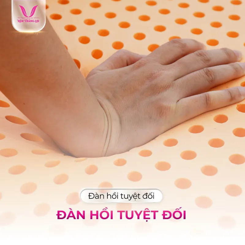 Sản phẩm nem_cao_su_thien_nhien_100_1 — Nệm Cao Su Thắng Lợi - Công Ty TNHH AVATEX Việt Nam — MST 0316962444