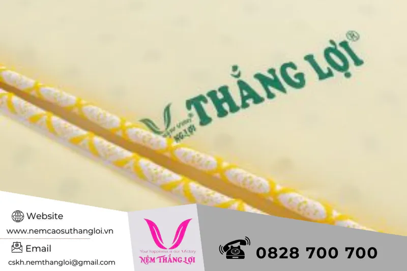 Sản phẩm nem_cao_su_thang_loi_123_3 — Nệm Cao Su Thắng Lợi - Công Ty TNHH AVATEX Việt Nam — MST 0316962444