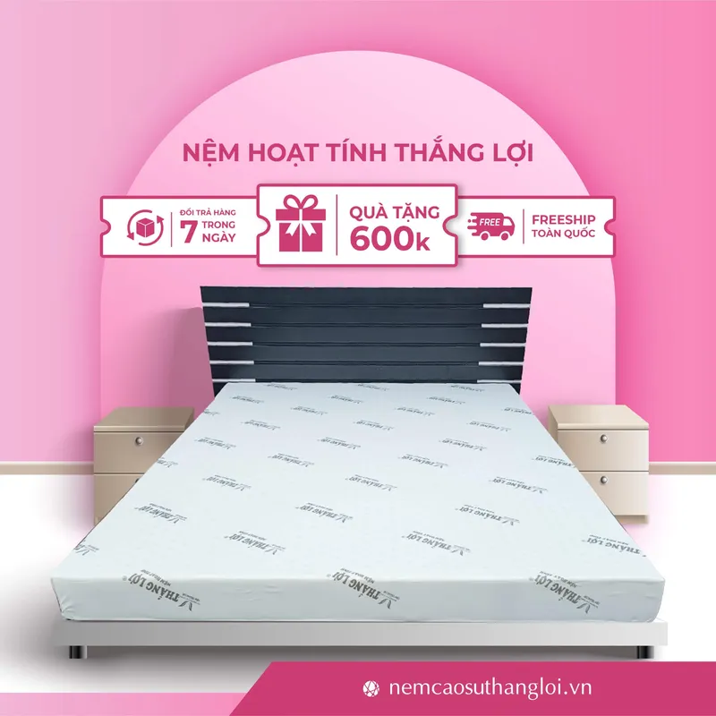 Sản phẩm THANG_LOI_01 — Nệm Cao Su Thắng Lợi - Công Ty TNHH AVATEX Việt Nam — MST 0316962444