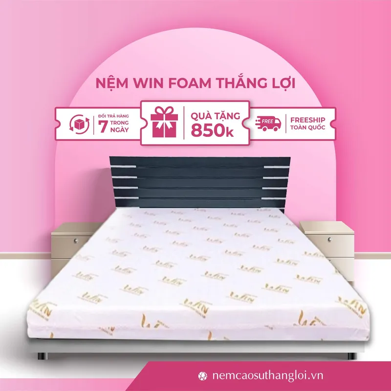 Sản phẩm THANG_LOI_02 — Nệm Cao Su Thắng Lợi - Công Ty TNHH AVATEX Việt Nam — MST 0316962444