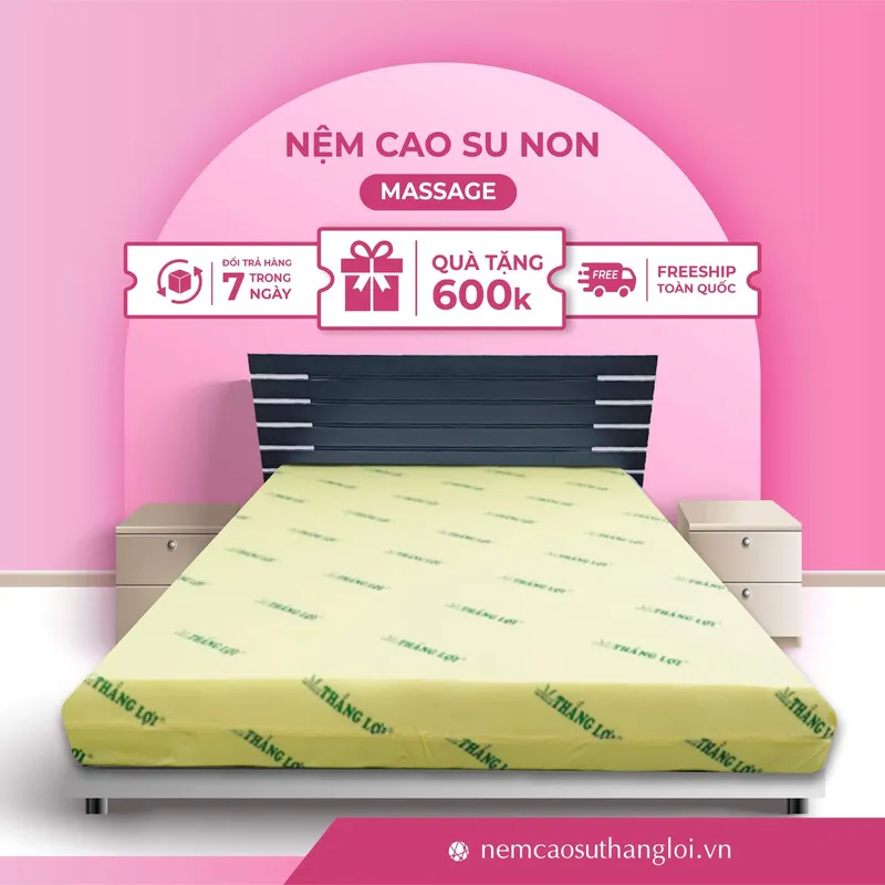Sản phẩm THANG_LOI_03 — Nệm Cao Su Thắng Lợi - Công Ty TNHH AVATEX Việt Nam — MST 0316962444