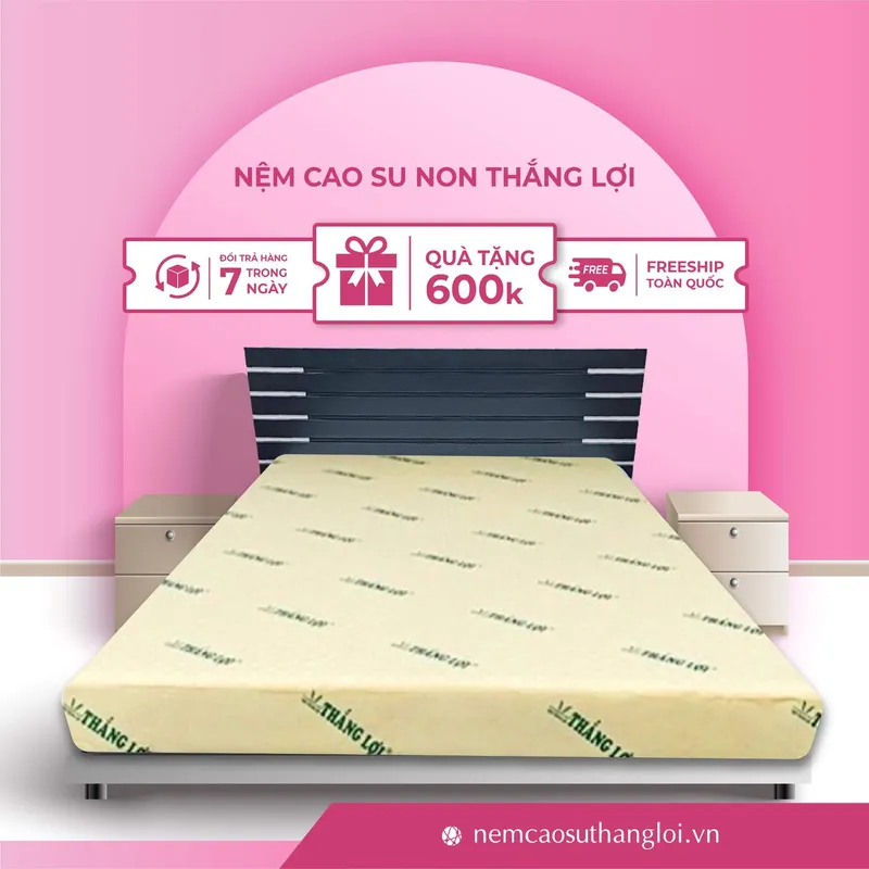 Sản phẩm THANG_LOI_04 — Nệm Cao Su Thắng Lợi - Công Ty TNHH AVATEX Việt Nam — MST 0316962444