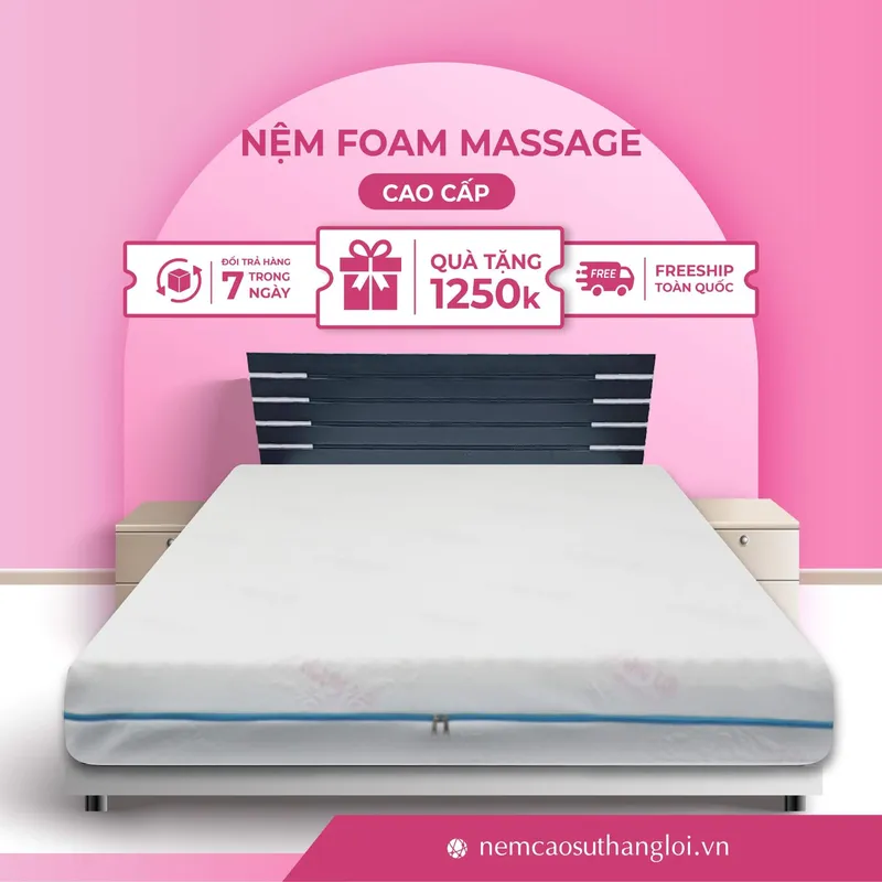 Sản phẩm THANG_LOI_06 — Nệm Cao Su Thắng Lợi - Công Ty TNHH AVATEX Việt Nam — MST 0316962444