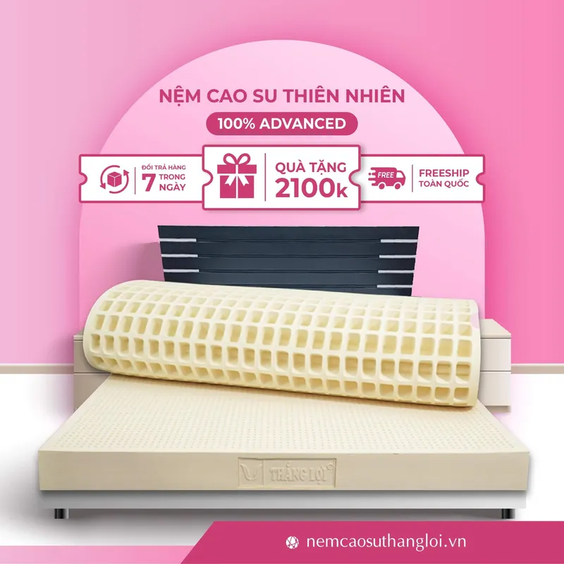Sản phẩm THANG_LOI_07 — Nệm Cao Su Thắng Lợi - Công Ty TNHH AVATEX Việt Nam — MST 0316962444