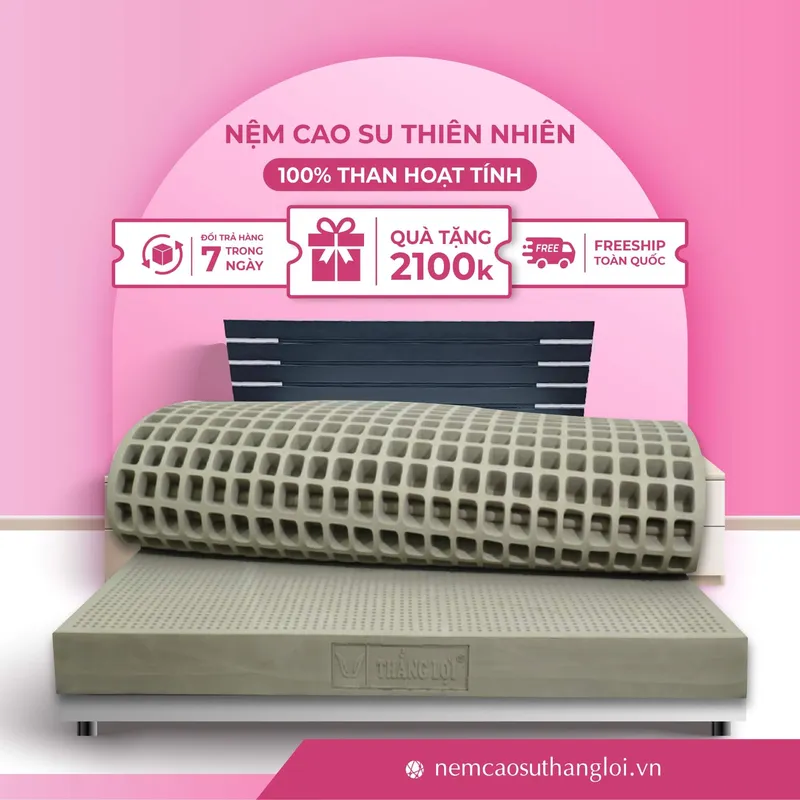 Sản phẩm THANG_LOI_08 — Nệm Cao Su Thắng Lợi - Công Ty TNHH AVATEX Việt Nam — MST 0316962444