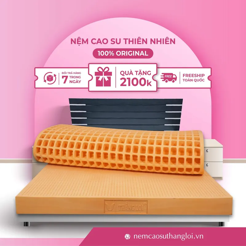Sản phẩm THANG_LOI_09 — Nệm Cao Su Thắng Lợi - Công Ty TNHH AVATEX Việt Nam — MST 0316962444