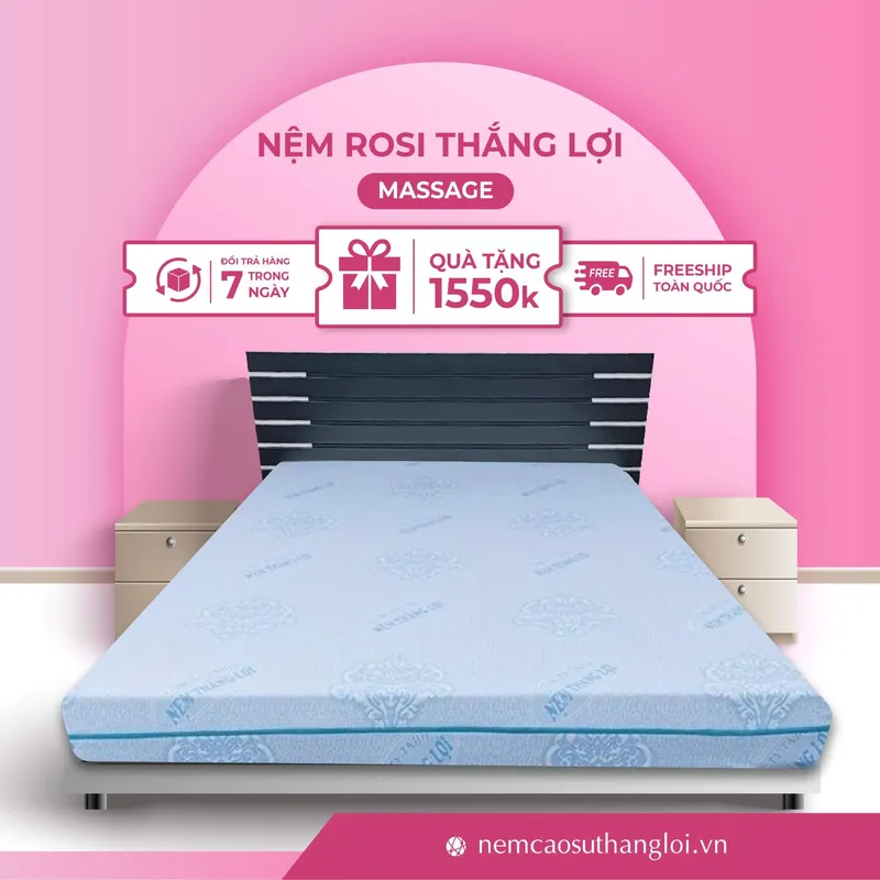 Sản phẩm THANG_LOI_11 — Nệm Cao Su Thắng Lợi - Công Ty TNHH AVATEX Việt Nam — MST 0316962444