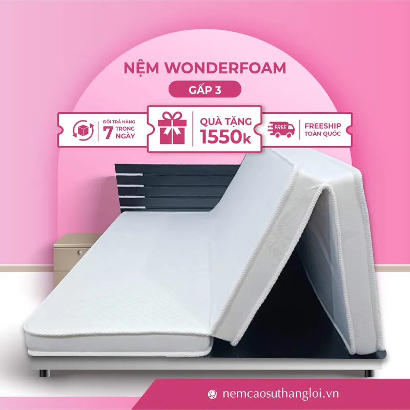 Sản phẩm THANG_LOI_16 — Nệm Cao Su Thắng Lợi - Công Ty TNHH AVATEX Việt Nam — MST 0316962444