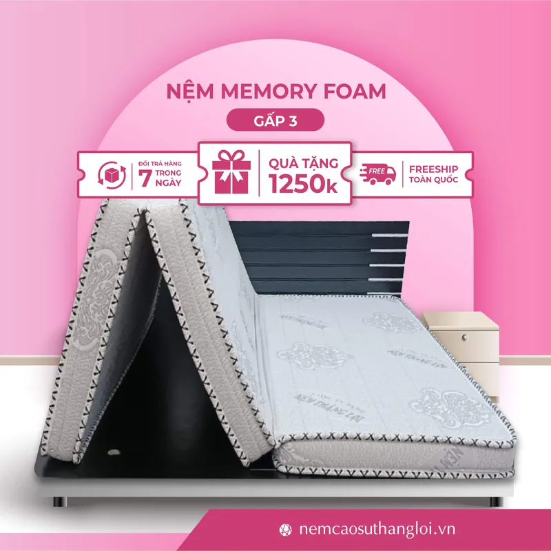 Sản phẩm THANG_LOI_17 — Nệm Cao Su Thắng Lợi - Công Ty TNHH AVATEX Việt Nam — MST 0316962444
