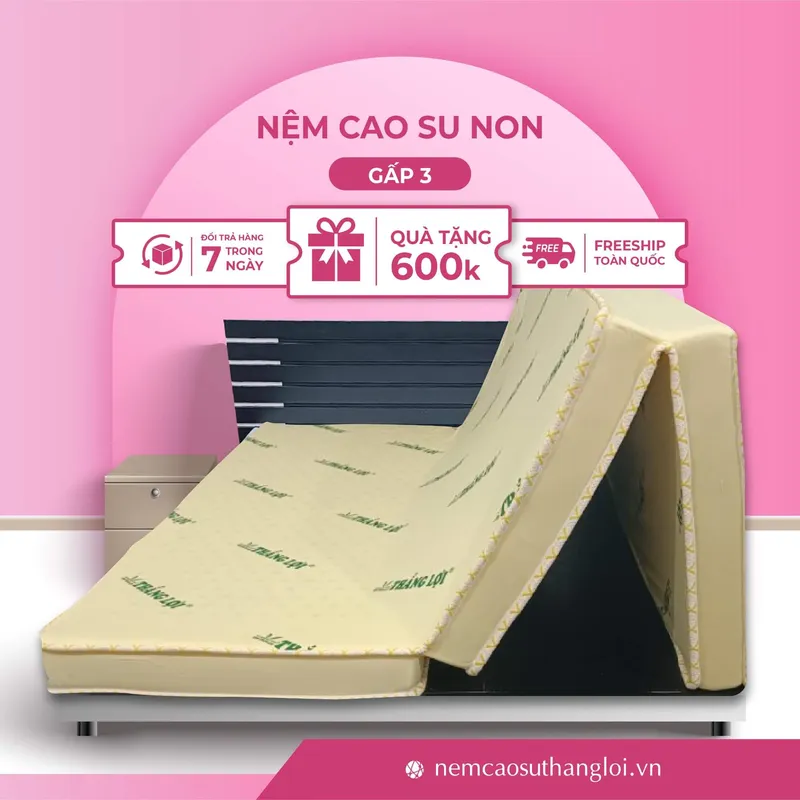 Sản phẩm THANG_LOI_18 — Nệm Cao Su Thắng Lợi - Công Ty TNHH AVATEX Việt Nam — MST 0316962444