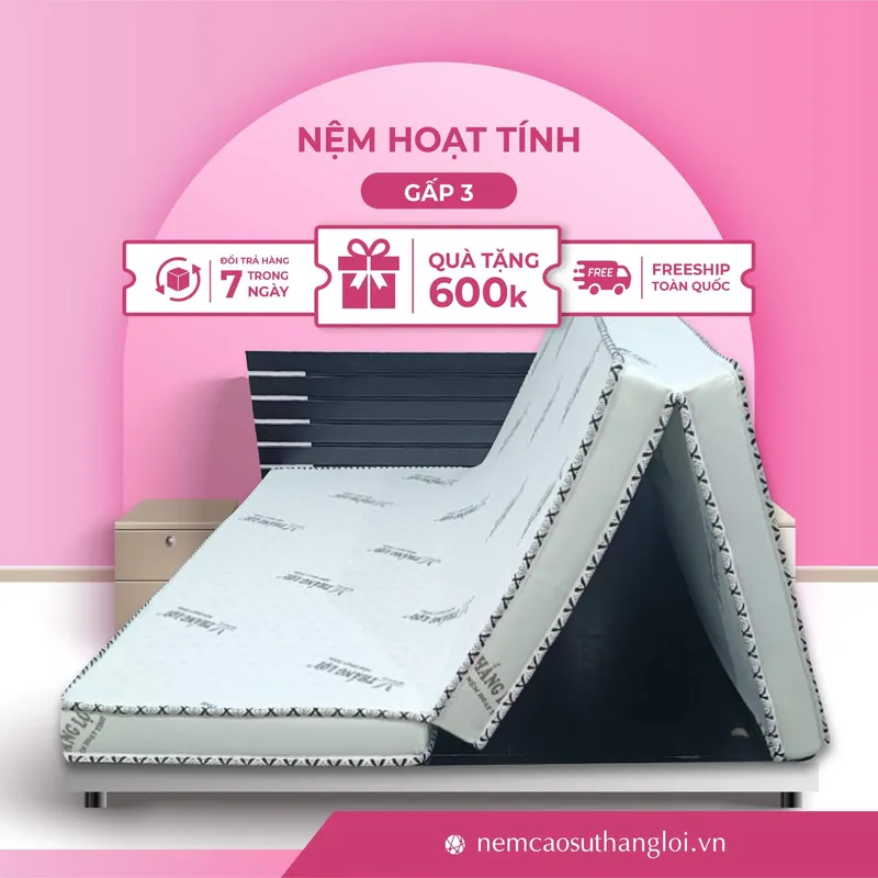 Sản phẩm THANG_LOI_19 — Nệm Cao Su Thắng Lợi - Công Ty TNHH AVATEX Việt Nam — MST 0316962444