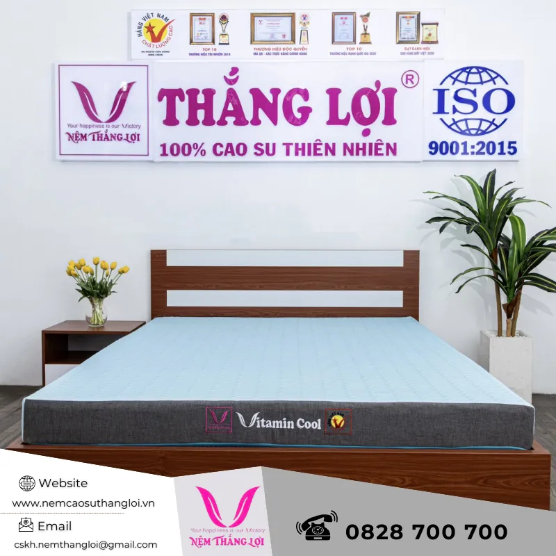 Sản phẩm nem_dieu_hoa_thang_loi_vitamin_cool_9_1 — Nệm Cao Su Thắng Lợi - Công Ty TNHH AVATEX Việt Nam — MST 0316962444