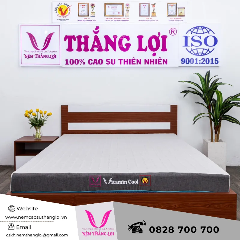 Sản phẩm nem_dieu_hoa_thang_loi_vitamin_cool_grey_9_2 — Nệm Cao Su Thắng Lợi - Công Ty TNHH AVATEX Việt Nam — MST 0316962444