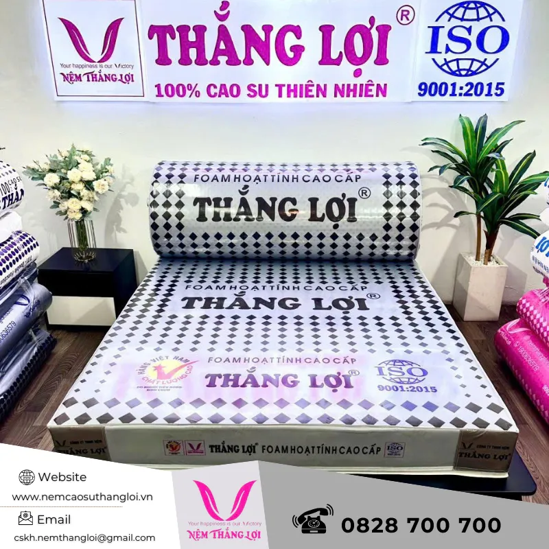 Sản phẩm nem_foam_cao_cap_thang_loi_9_6 — Nệm Cao Su Thắng Lợi - Công Ty TNHH AVATEX Việt Nam — MST 0316962444