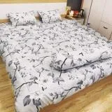 Sản phẩm hoabedding 160x160 — Rèm Cửa Kim Thành - Công Ty TNHH Sản Xuất Thương Mại Nội Thất Kim Thành — MST 0316965526