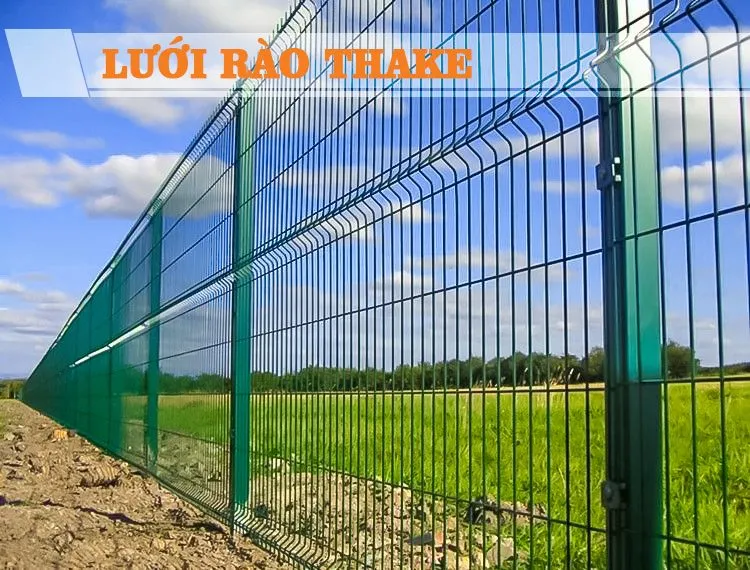 Sản phẩm luoi rao thake o trang trai 750x570 — Công Ty Cổ Phần Thake — MST 0316974979