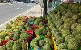 Sản phẩm sau rieng gia re 4 12565446 1780625466716 1780625467270743097524 3682 — Công Ty TNHH MTV Sản Xuất Thực Phẩm Thiên Sa G20 — MST 0317009072