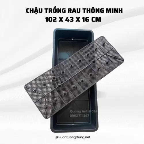 Sản phẩm chau dai trong rau 14 11 2025 09 16 40 — Công Ty TNHH SX TM DV Quang Anh — MST 0317009121