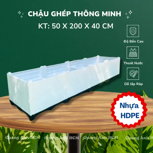 Sản phẩm chau ghep luong dai 50 200 40 cm 17 06 2025 13 38 50 — Công Ty TNHH SX TM DV Quang Anh — MST 0317009121