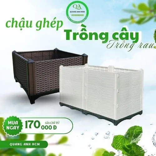 Sản phẩm chau ghep thong minh so1 05 09 2025 13 53 11 — Công Ty TNHH SX TM DV Quang Anh — MST 0317009121