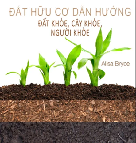 Sản phẩm dat trong rau sach quang anh 18 11 2017 14 07 28 — Công Ty TNHH SX TM DV Quang Anh — MST 0317009121