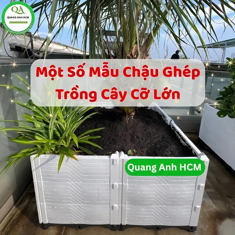Sản phẩm mot so mau chau ghep trong cay co lon 01 04 2025 10 35 18 — Công Ty TNHH SX TM DV Quang Anh — MST 0317009121
