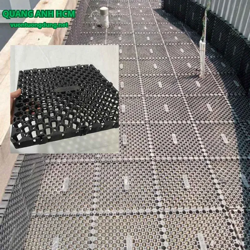 Sản phẩm vi thoat nuoc san vuon 44 14 09 2024 14 21 54 — Công Ty TNHH SX TM DV Quang Anh — MST 0317009121