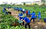 Sản phẩm tinh nguyen vien moi truong 6129 — Vệ Sinh Công Nghiệp An Phú - Công Ty TNHH Dịch Vụ Vệ Sinh Công Nghiệp An Phú — MST 0317016143