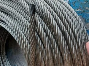 Sản phẩm z5547113902417_b7408edcf8ab8caaf400382130e508be 300x225 — Cáp Thép Thái Bình Vina - Công Ty TNHH Cáp Thép Thái Bình Vina — MST 0317021714