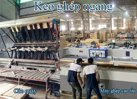 Sản phẩm keo ghép ngang — Keo dán Eponik - Công ty TNHH Sản Xuất và Thương Mại Linh Đan — MST 0317025349