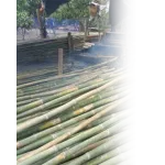 Sản phẩm hinh tam vog fix 7751 — SAI GON BAMBOO CO.,LTD — MST 0317046003
