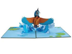Sản phẩm 01 11 300x225 — Công Ty TNHH FLAMINPOP — MST 0317059605