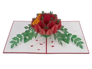 Sản phẩm P1154798 copy 300x225 — Công Ty TNHH FLAMINPOP — MST 0317059605