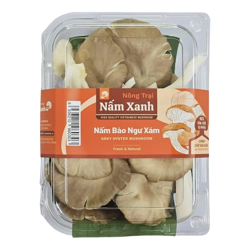 Sản phẩm nam bao ngu xam tuoi ngon 0 — Công Ty TNHH AGRIKIGAI — MST 0317078076