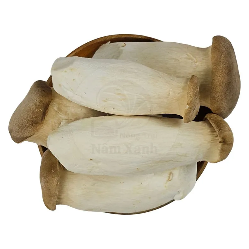 Sản phẩm nam dui ga tuoi loai 1 9 — Công Ty TNHH AGRIKIGAI — MST 0317078076