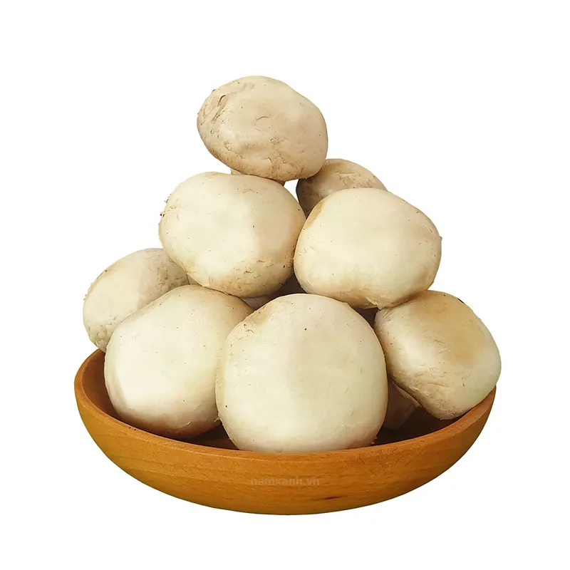 Sản phẩm nam mo trang tuoi 1 — Công Ty TNHH AGRIKIGAI — MST 0317078076