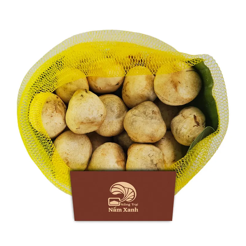 Sản phẩm nam rom tuoi 01 — Công Ty TNHH AGRIKIGAI — MST 0317078076