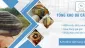 Sản phẩm slide 5 8461 — Công Ty TNHH Cát Thạch Anh — MST 0317089328