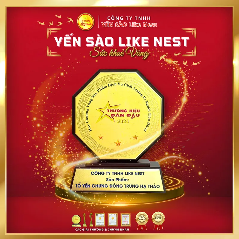 Sản phẩm z5991187683074ea75cac12acb767d7bbf4f4caa474708 6312 — Công Ty TNHH LIKE NEST — MST 0317117381