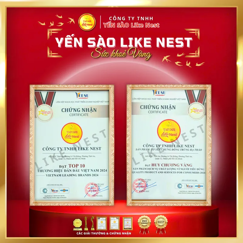 Sản phẩm z59911878514468ff1c08526e2584d69015d84029f2443 479 — Công Ty TNHH LIKE NEST — MST 0317117381